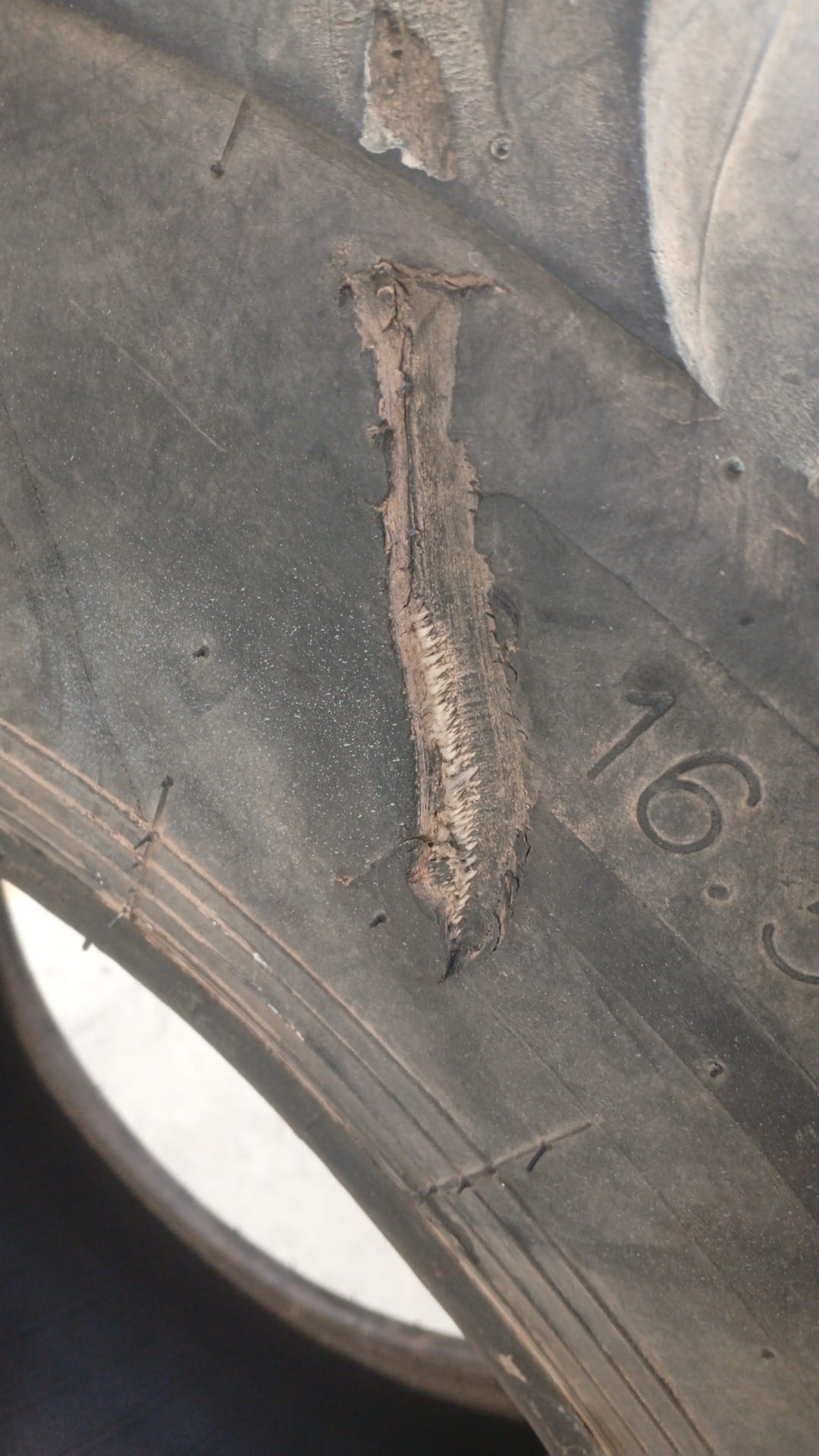 ALLIANCE 16.5/85-24 - Imagen 8