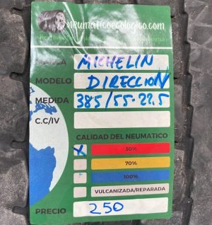 MICHELIN 385/55R22.5