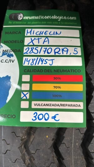 MICHELIN 285/70R19.5