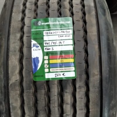 RECAUCHUTADA 445/45R19.5