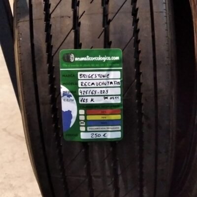 RECAUCHUTADA 425/65R22.5