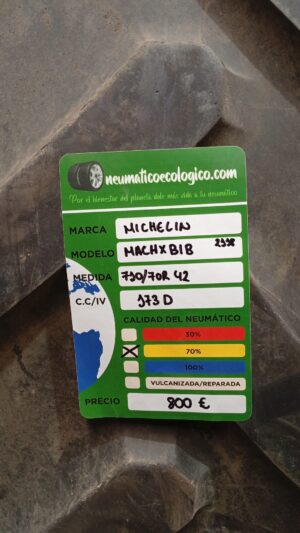 MICHELIN 710/70R42