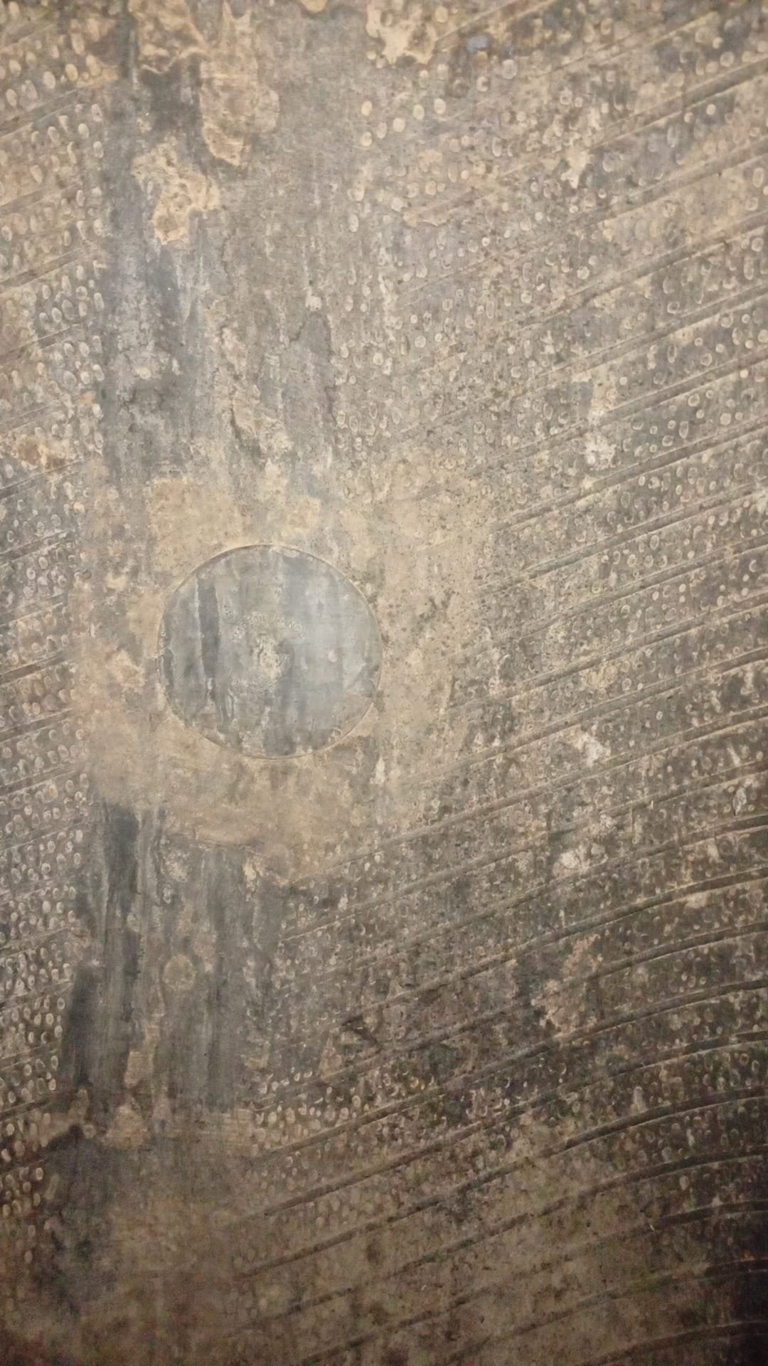 BKT 540/65R34 - Imagen 5