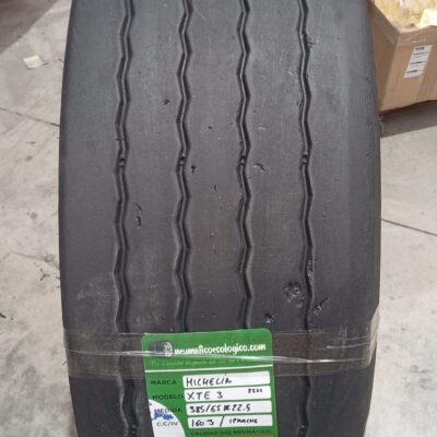 MICHELIN 385/65R22.5