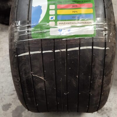 CARLISLE 18X9.50-8